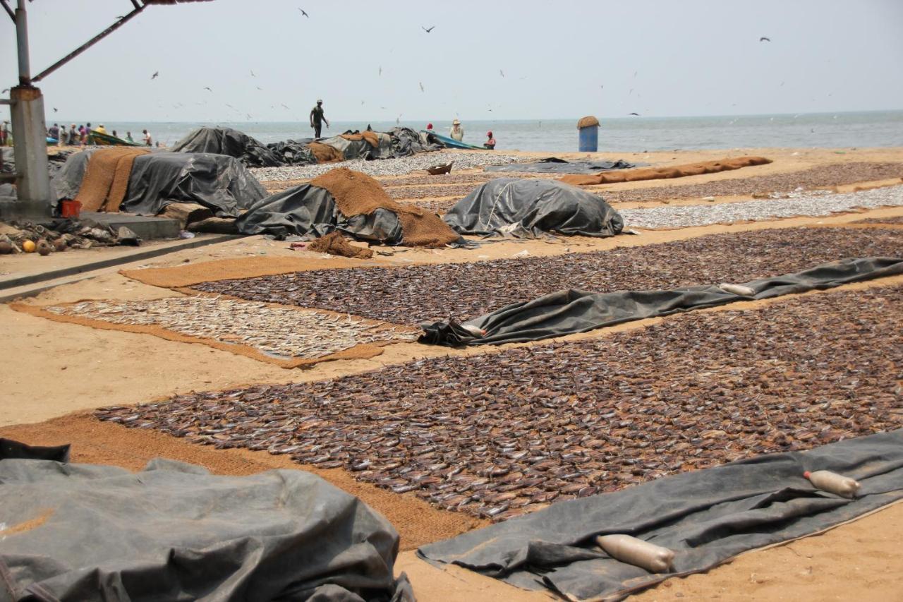 Oyo 317 Choy'S Waterfront Residence Negombo Zewnętrze zdjęcie